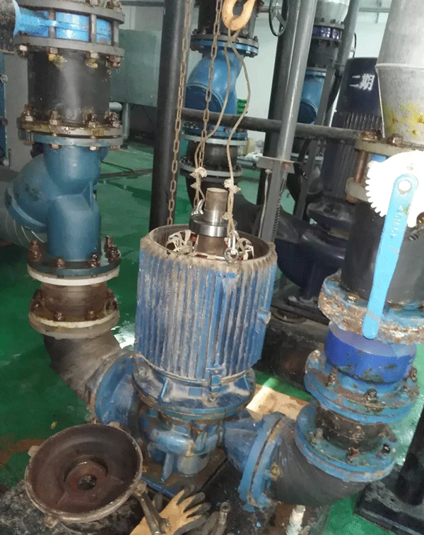 電機(jī)如何適應(yīng)變頻起動(dòng)新技術(shù)——西安泰富西瑪電機(jī)(西安西瑪電機(jī)集團(tuán)股份有限公司)官方網(wǎng)站 電機(jī)如何適應(yīng)變頻起動(dòng)新技術(shù)——西安泰富西瑪電機(jī)(西安西瑪電機(jī)集團(tuán)股份有限公司)官方網(wǎng)站